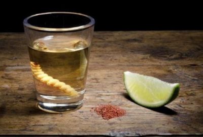 Degustazione Tequila Mezcal Roma Milano