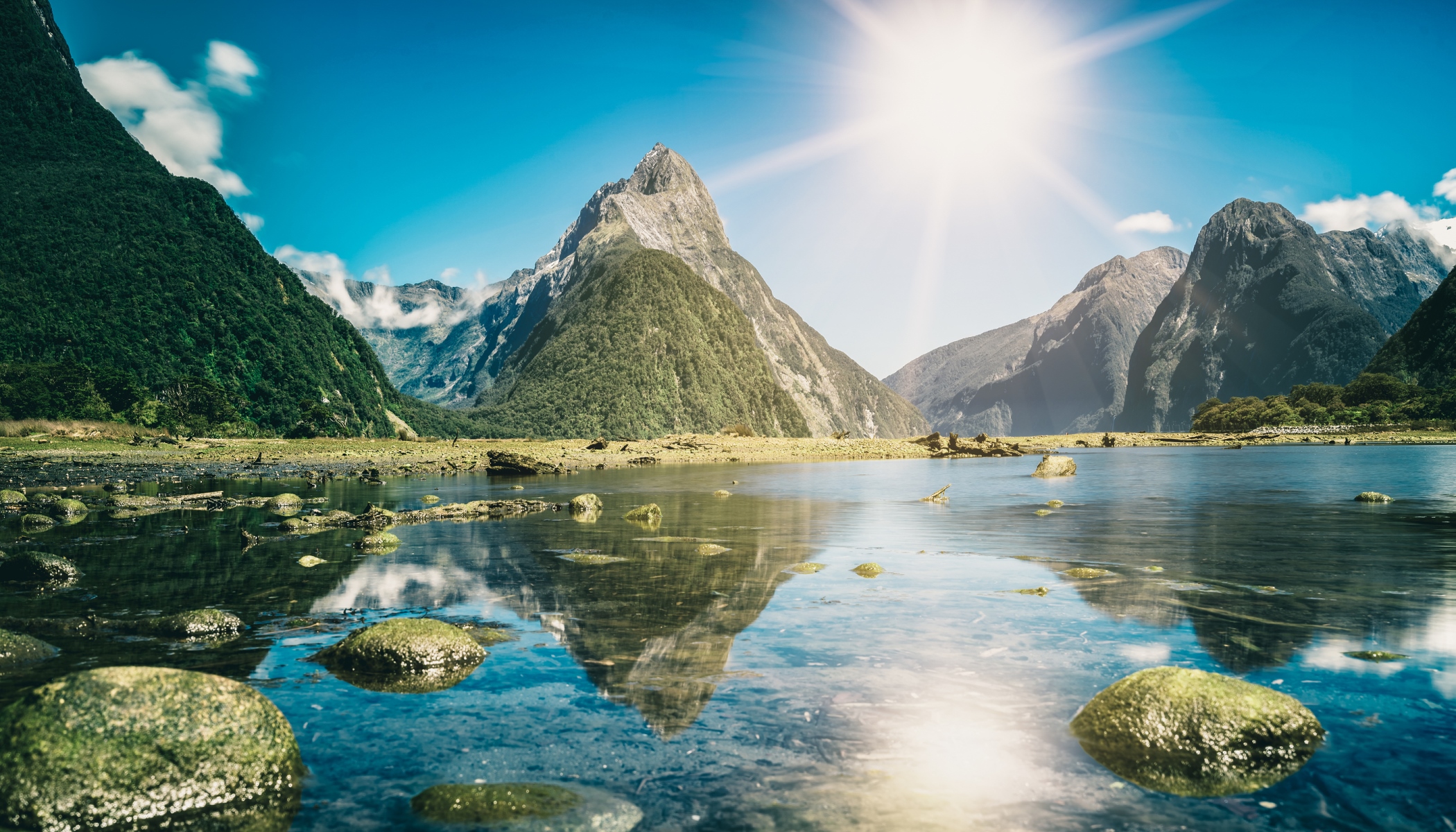 lavorare in nuova zelanda